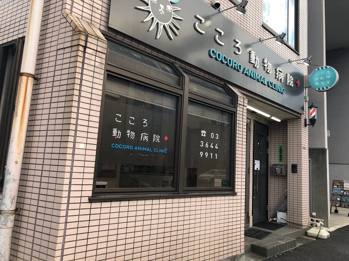 こころ動物美容室