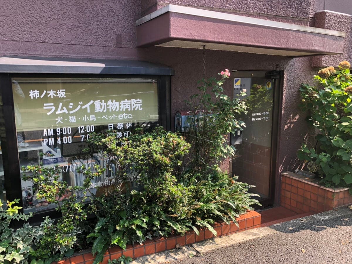 柿の木坂ラムジイ動物病院