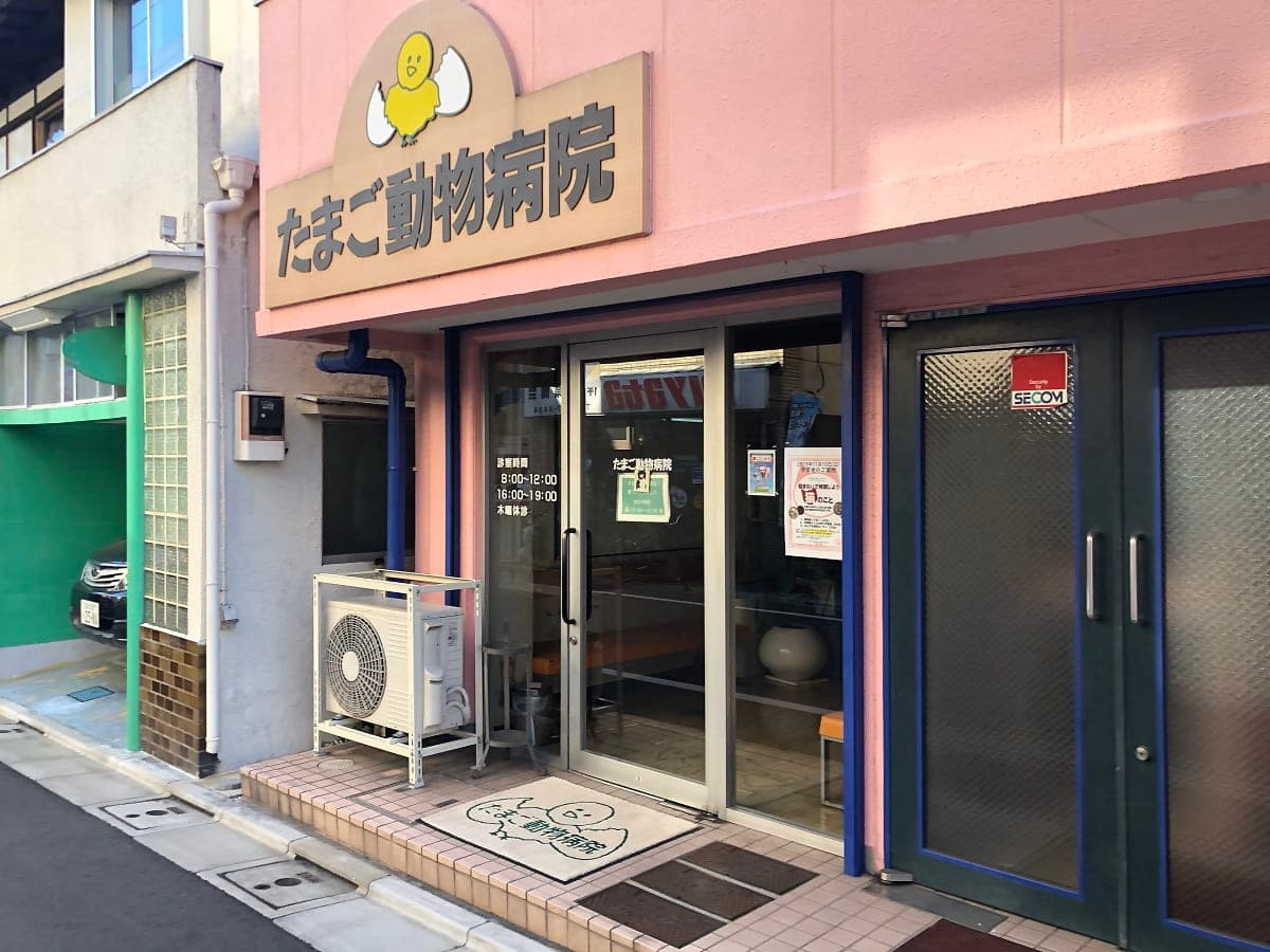 たまご動物病院
