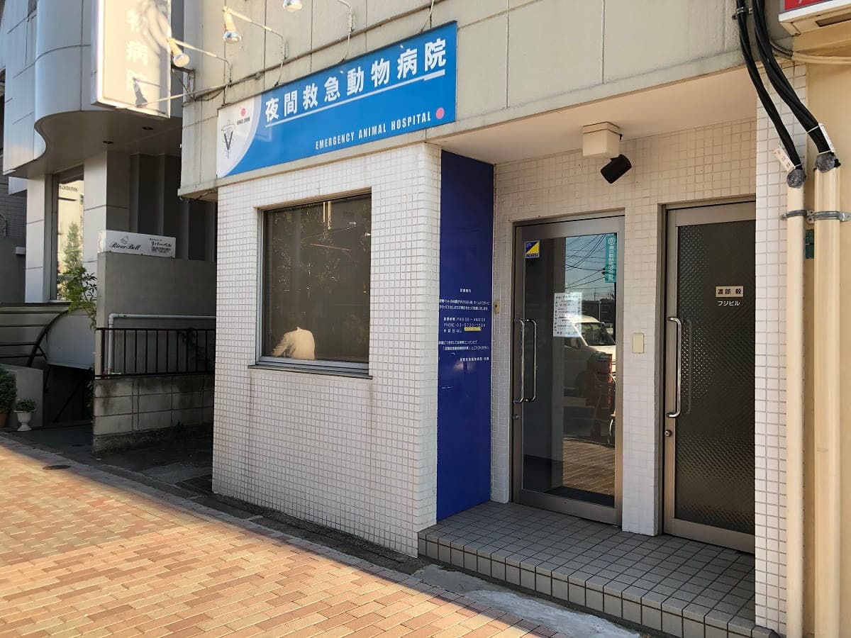 夜間救急動物病院目黒