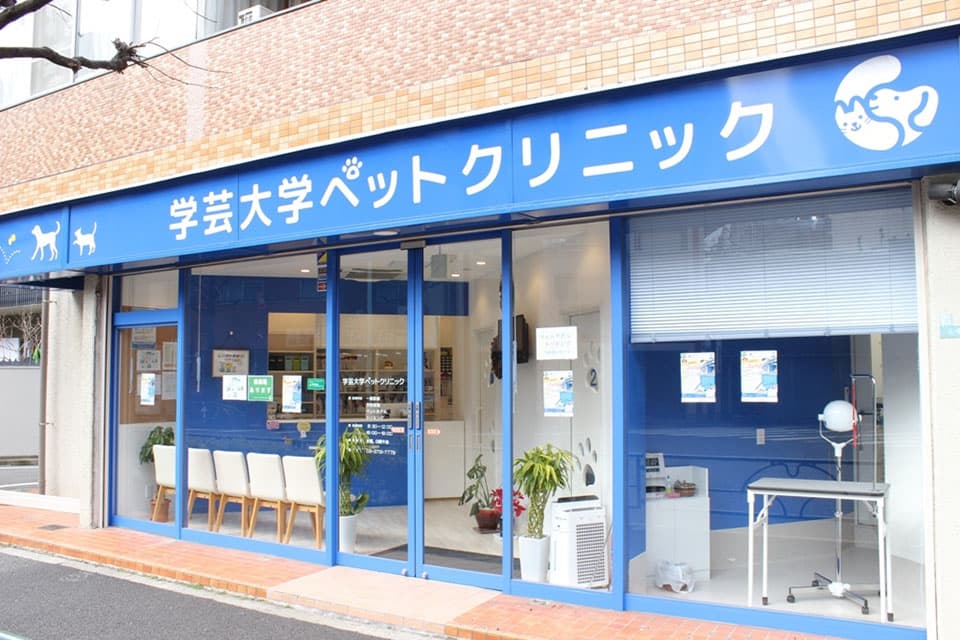 学芸大学ペットクリニック 2