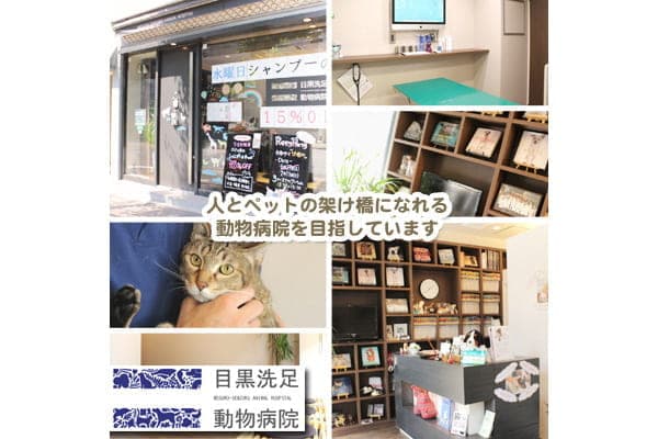 目黒洗足動物病院