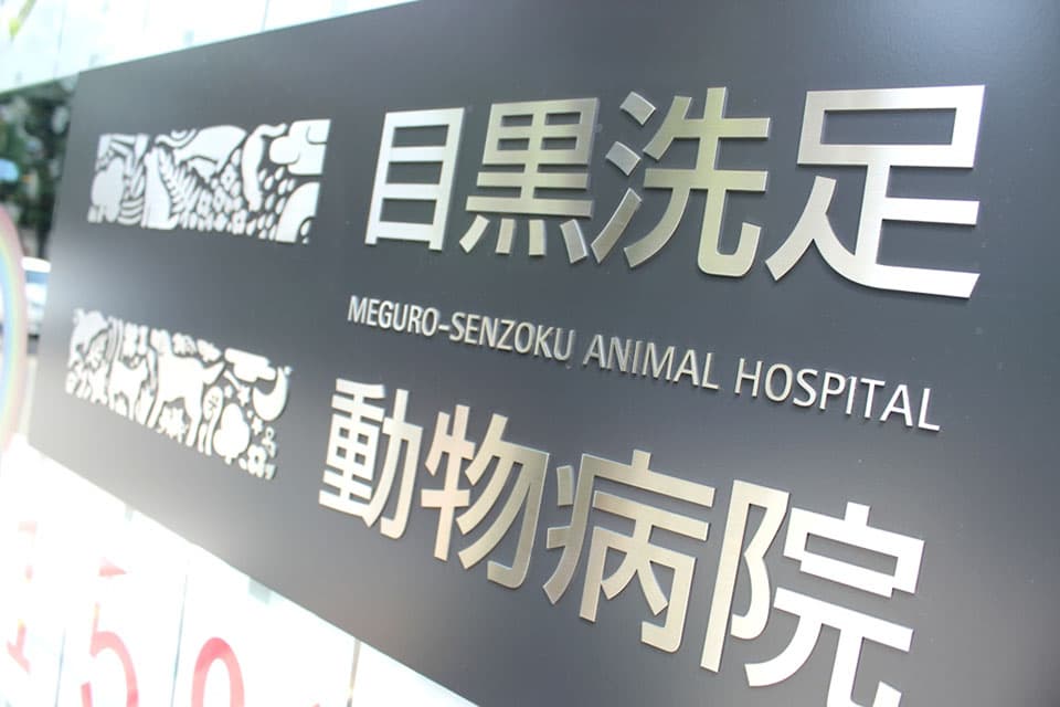 目黒洗足動物病院 2