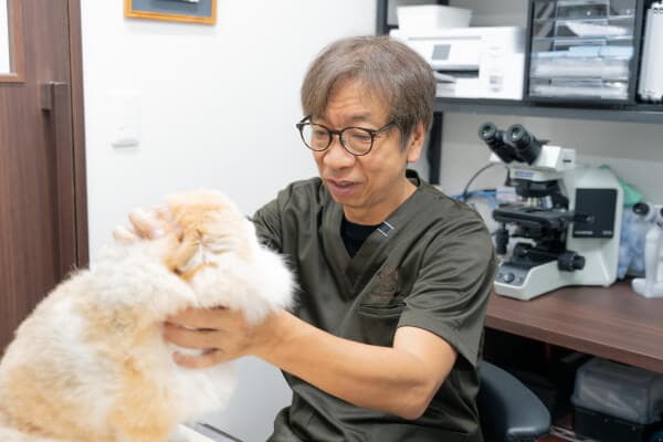 アルマ動物病院 糖尿病・内分泌病センター