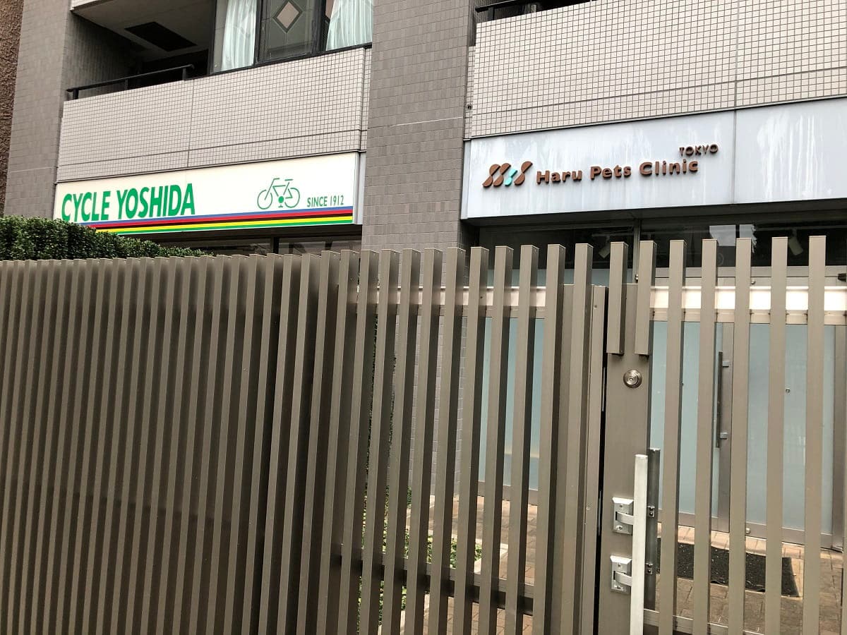 ハルペッツクリニック東京