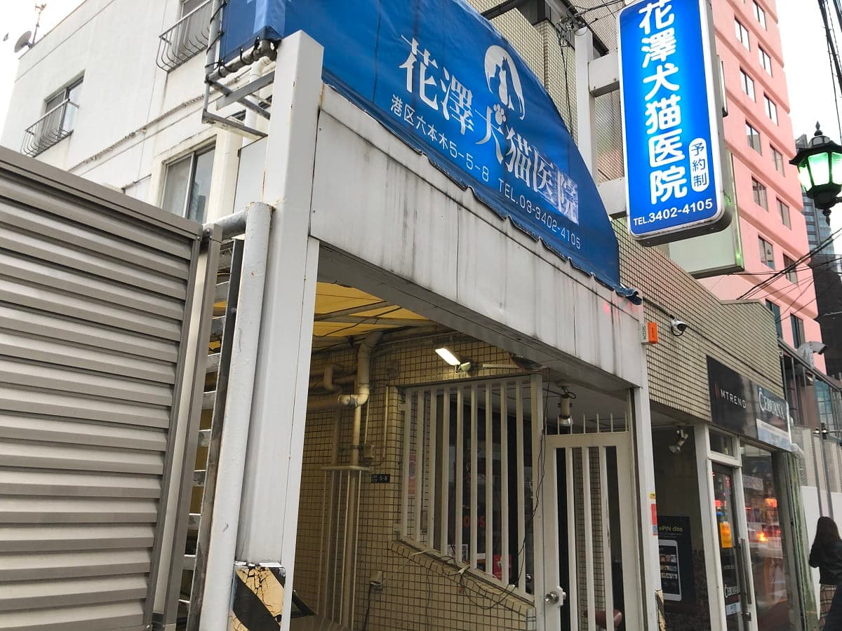 花澤犬猫病院