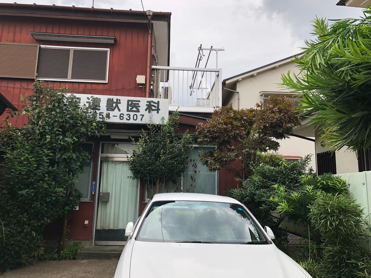 あだち獣医科医院