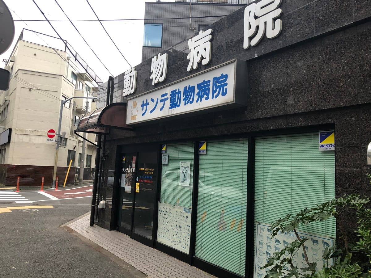 サンテ動物病院