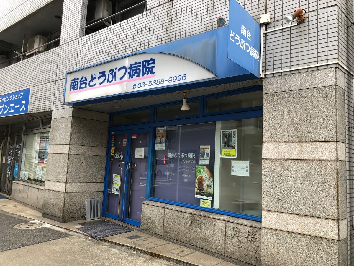 南台どうぶつ病院