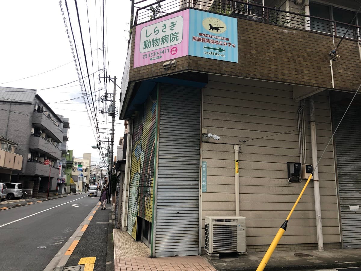 しらさぎ動物病院