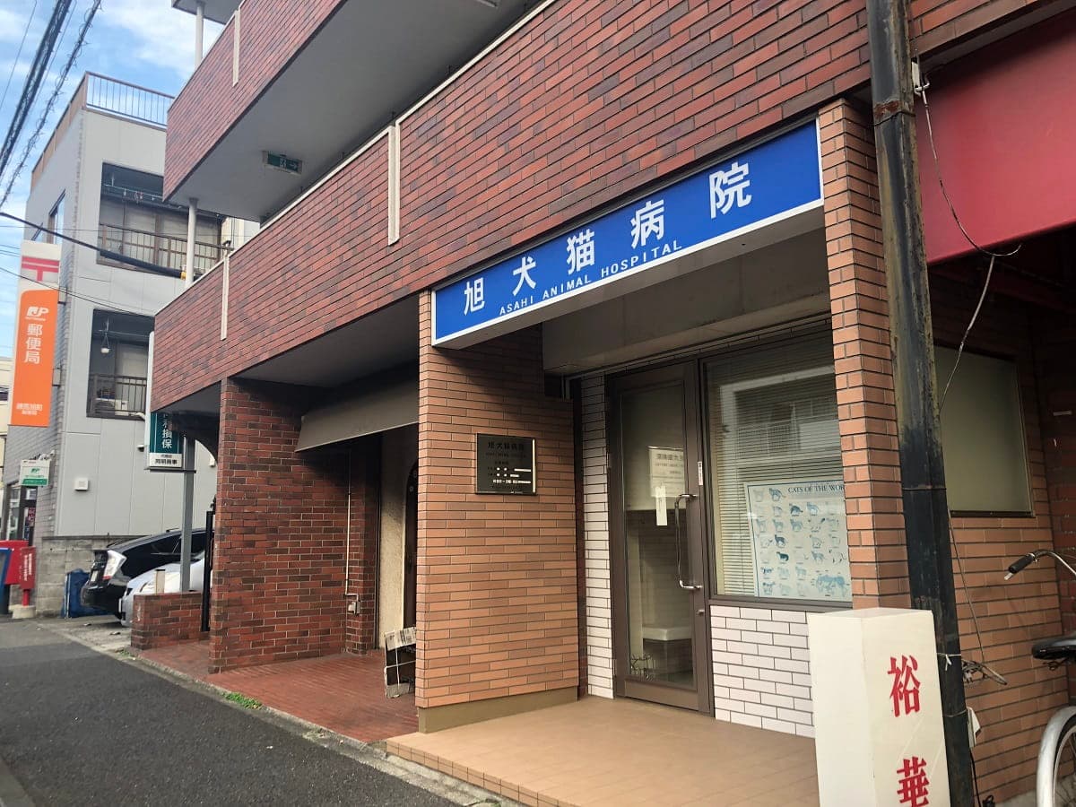 旭犬猫病院