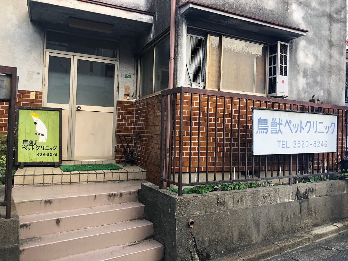 鳥獣ペットクリニック