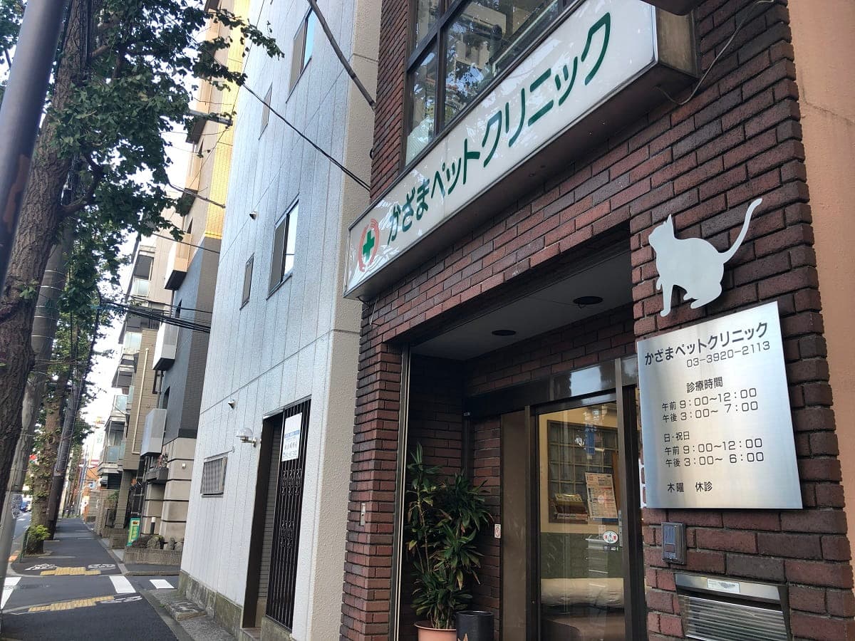 かざまペットクリニック