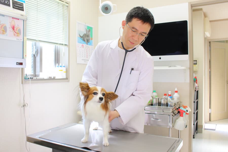 風祭動物病院