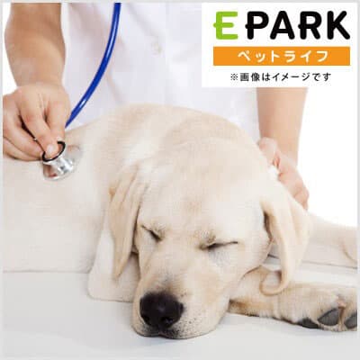 石神井台動物病院