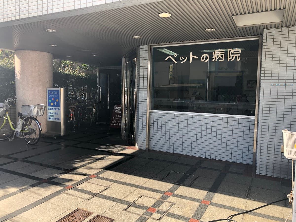 ラフィキペットホスピタル