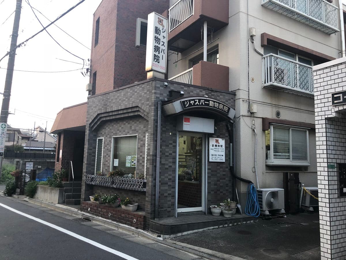 ジャスパー動物病院
