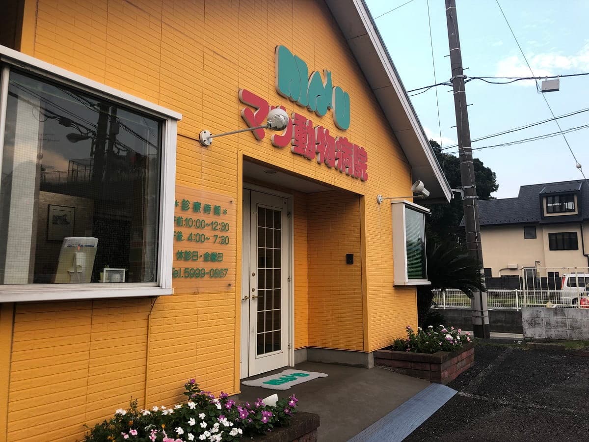 マウ動物病院