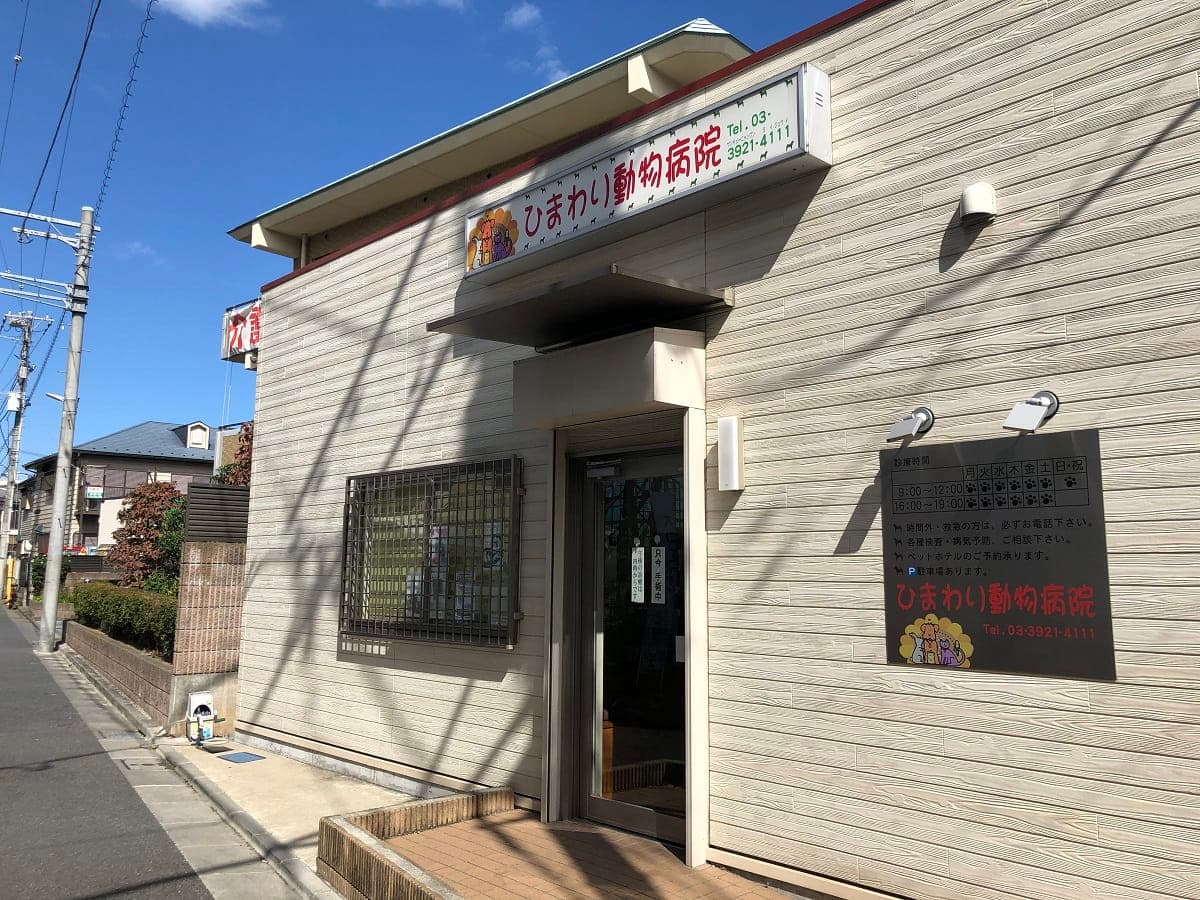 ひまわり動物病院