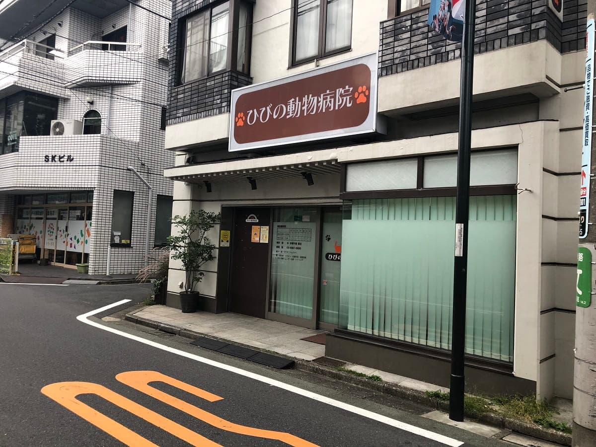 ひびの動物病院