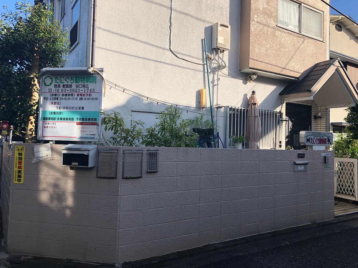 たにぐち動物病院
