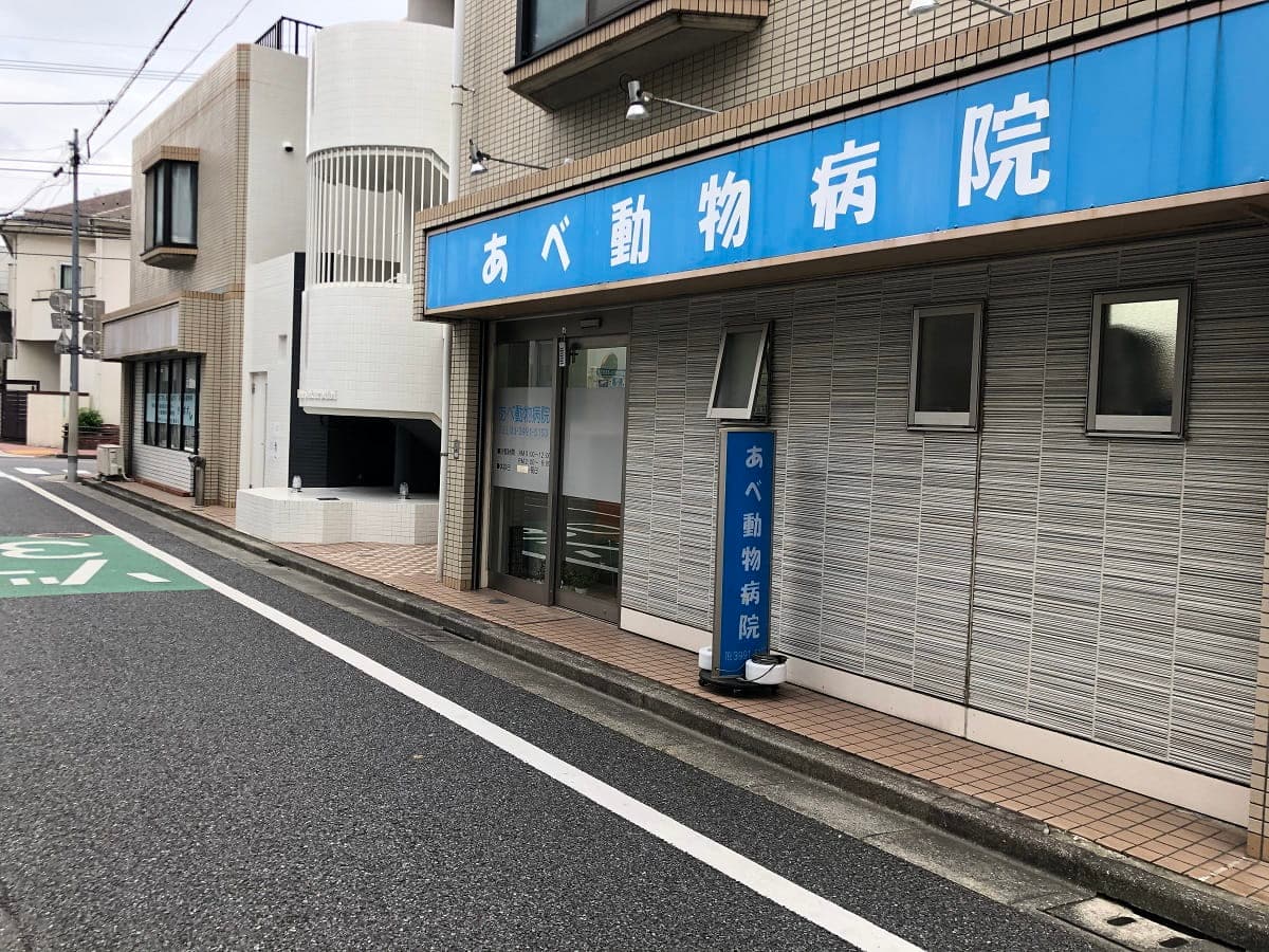 あべ動物病院