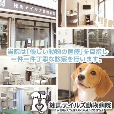 練馬テイルズ動物病院