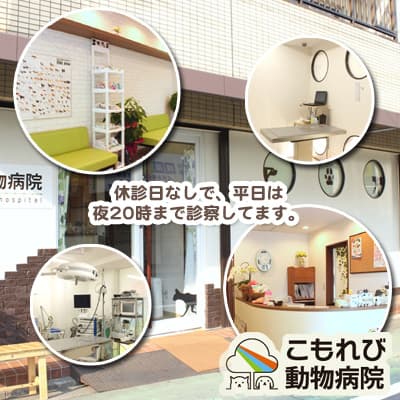 こもれび動物病院