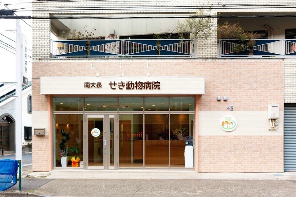 南大泉せき動物病院
