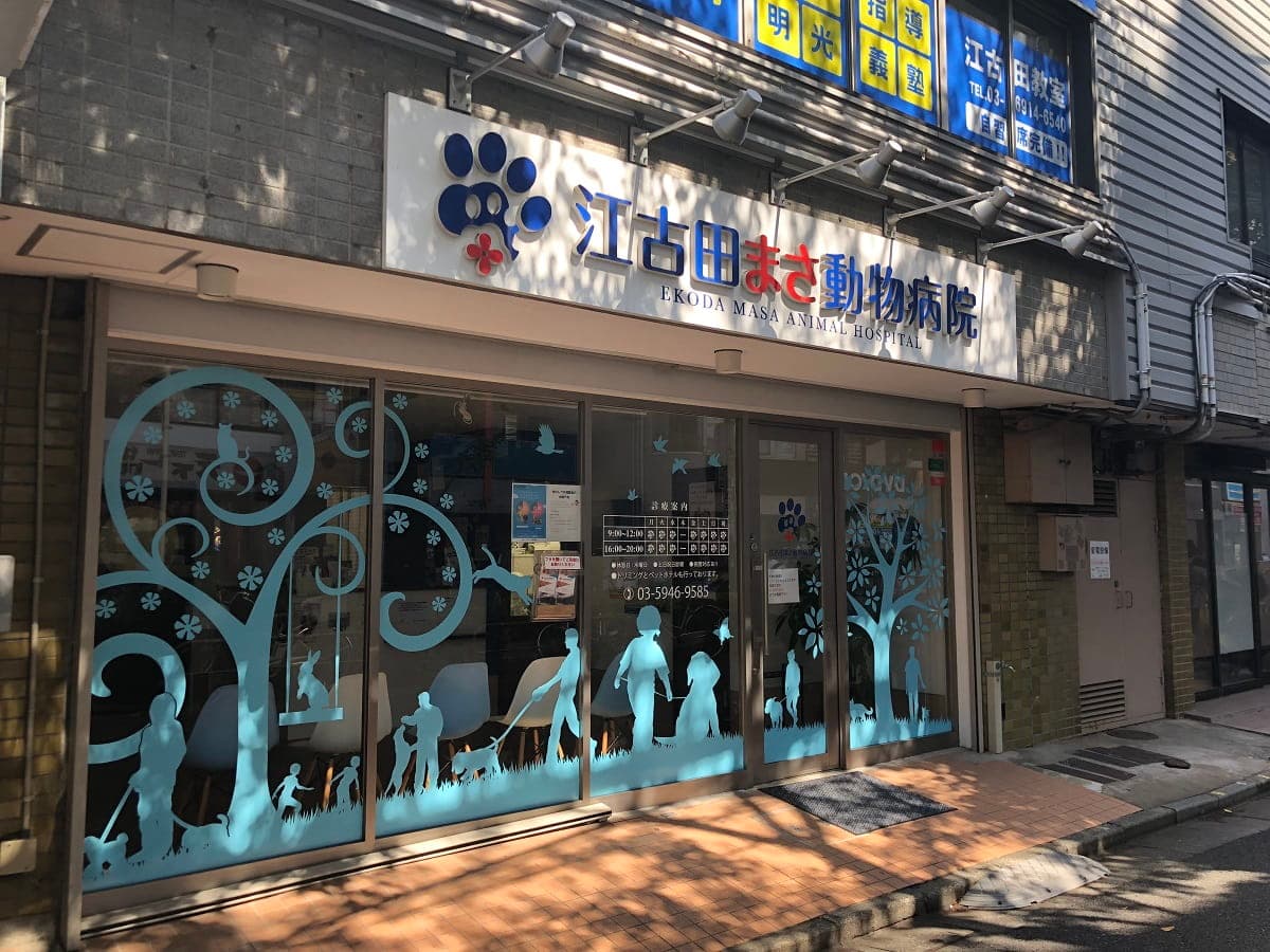 江古田まさ動物病院