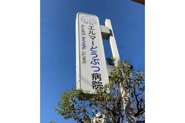エルマーどうぶつ病院 2