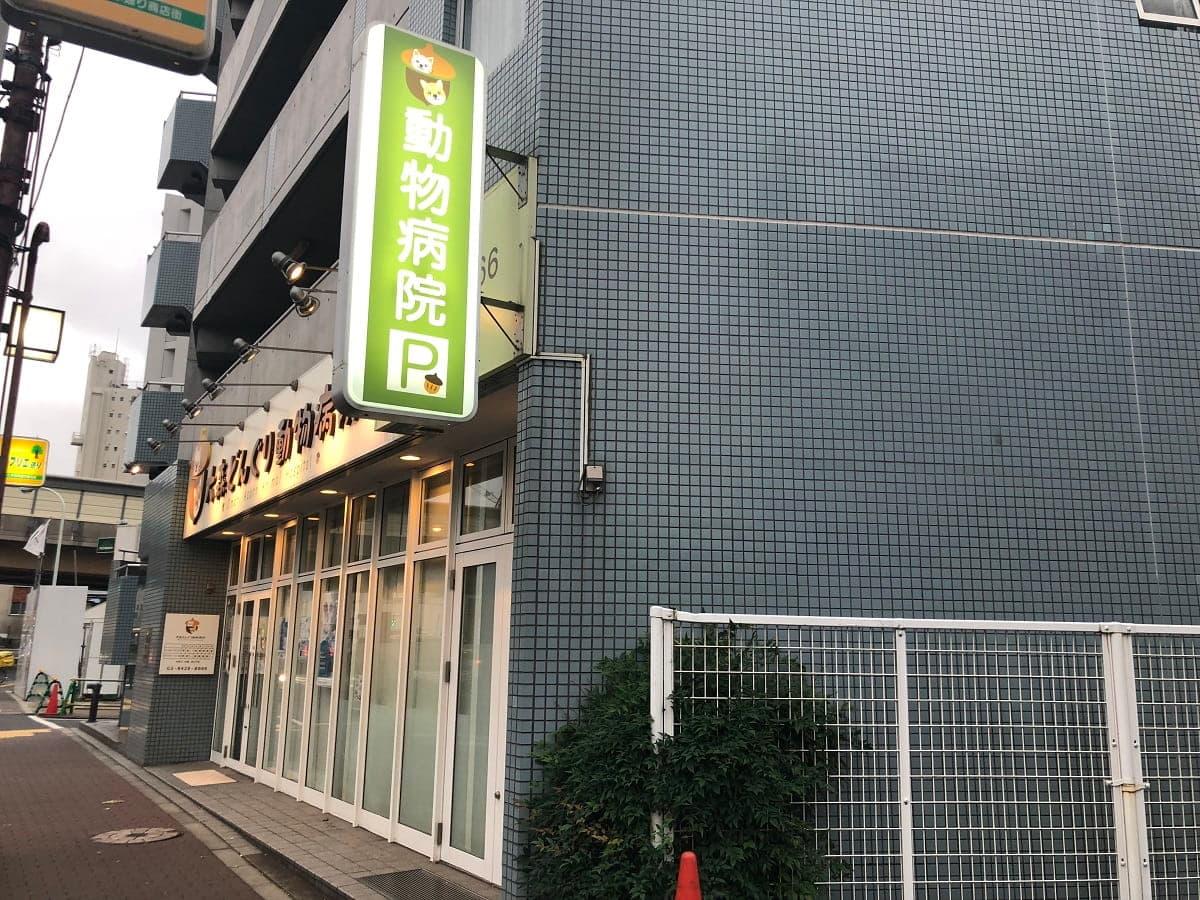 大森どんぐり動物病院