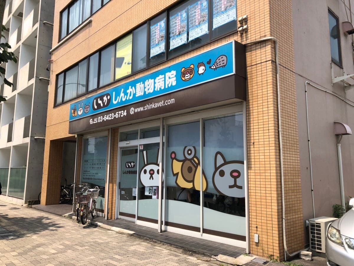 しんか動物病院