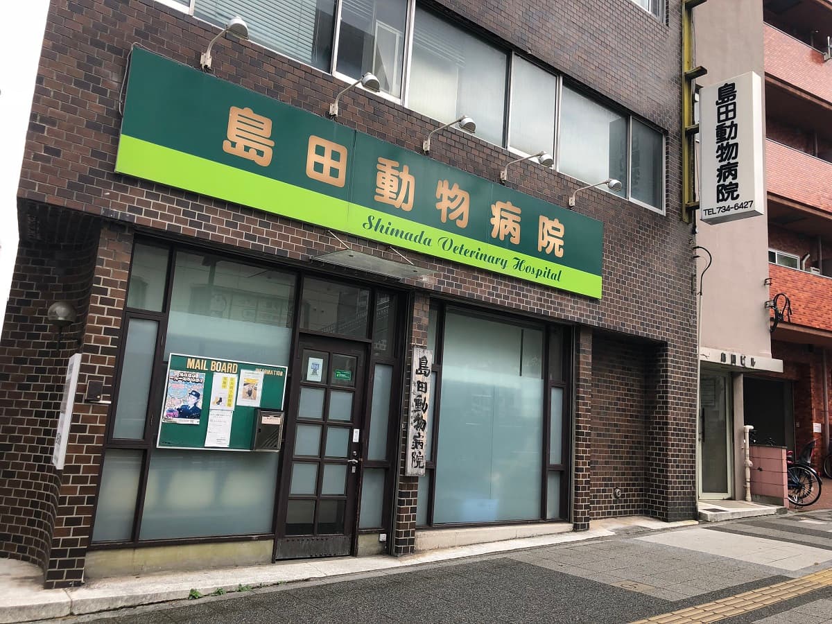 島田動物病院