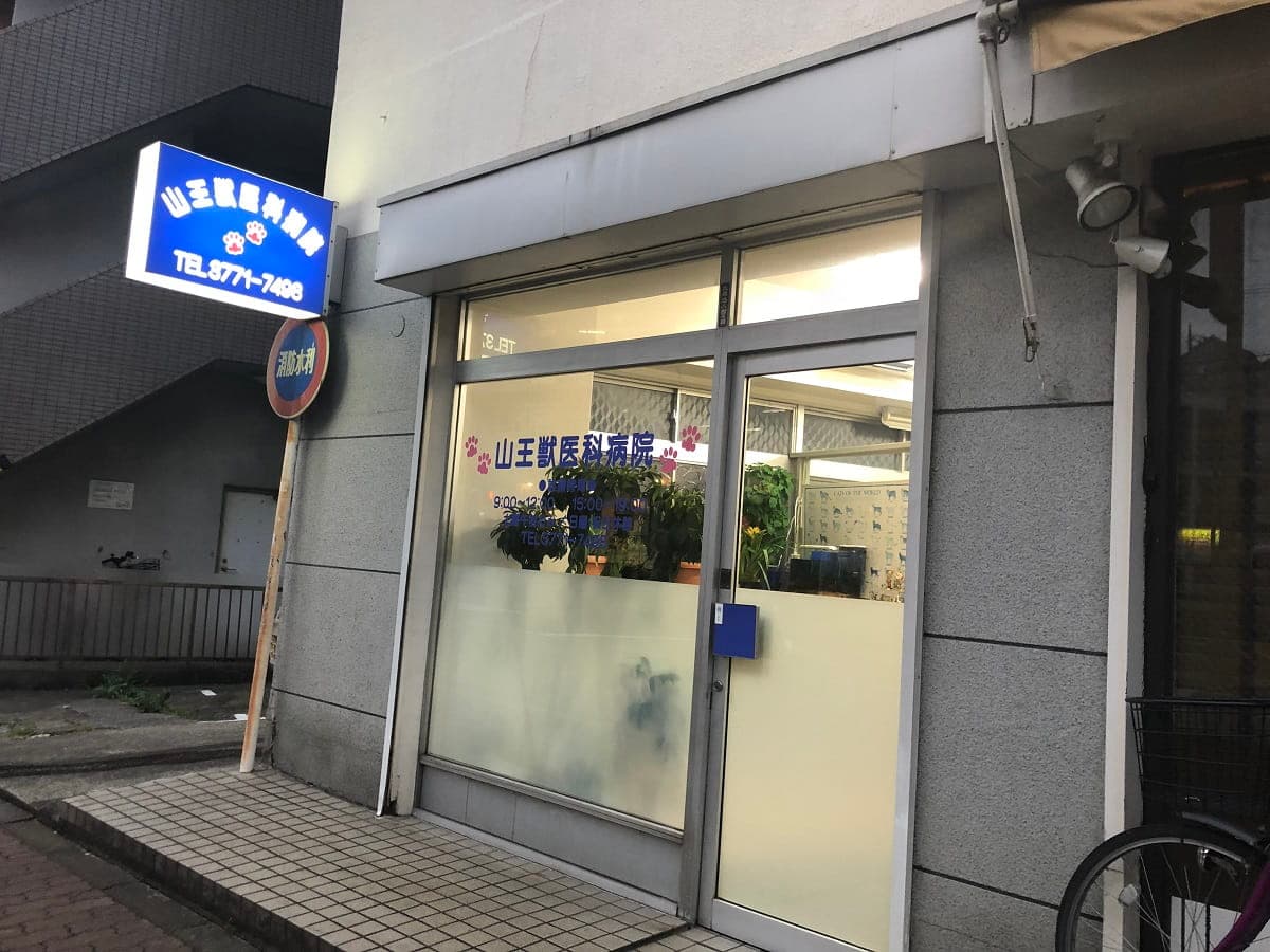 山王獣医科病院