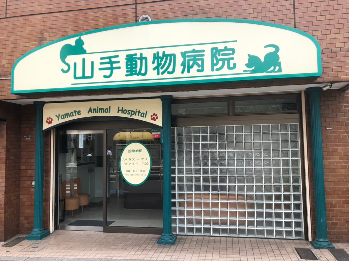 山手動物病院