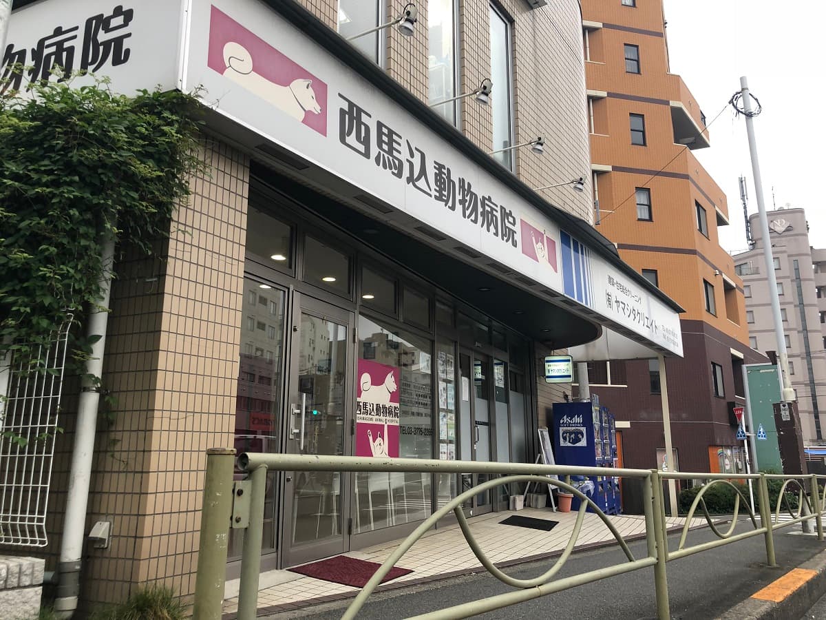 西馬込動物病院