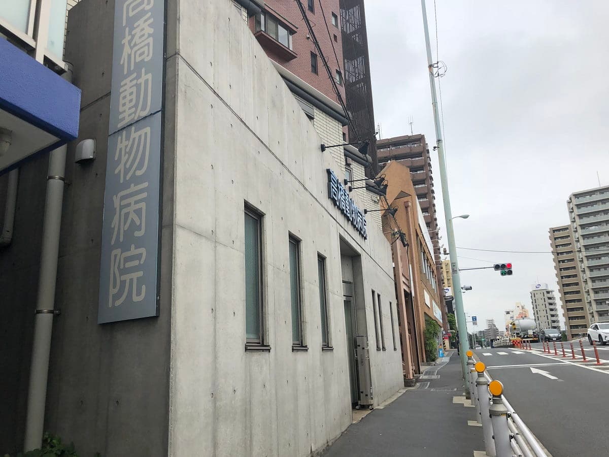 高橋動物病院