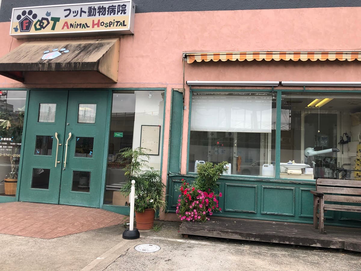 フット動物病院