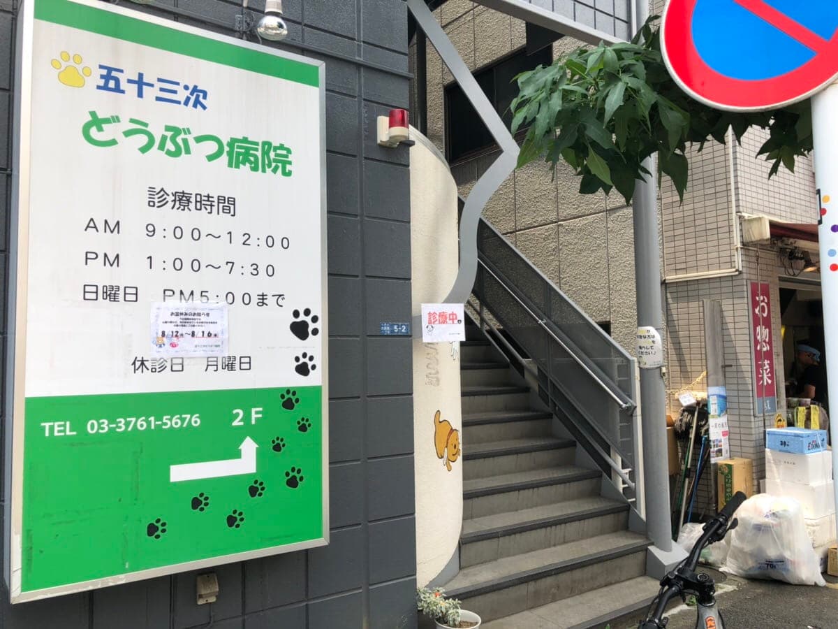 五十三次どうぶつ病院