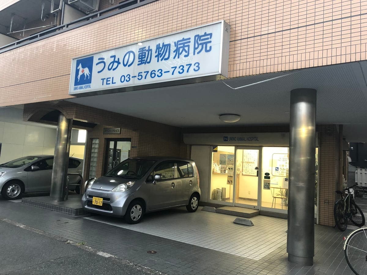 うみの動物病院