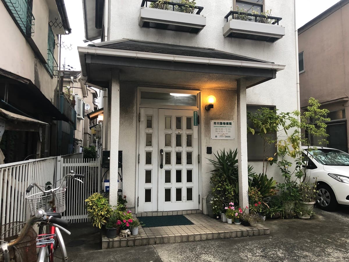 市川動物病院