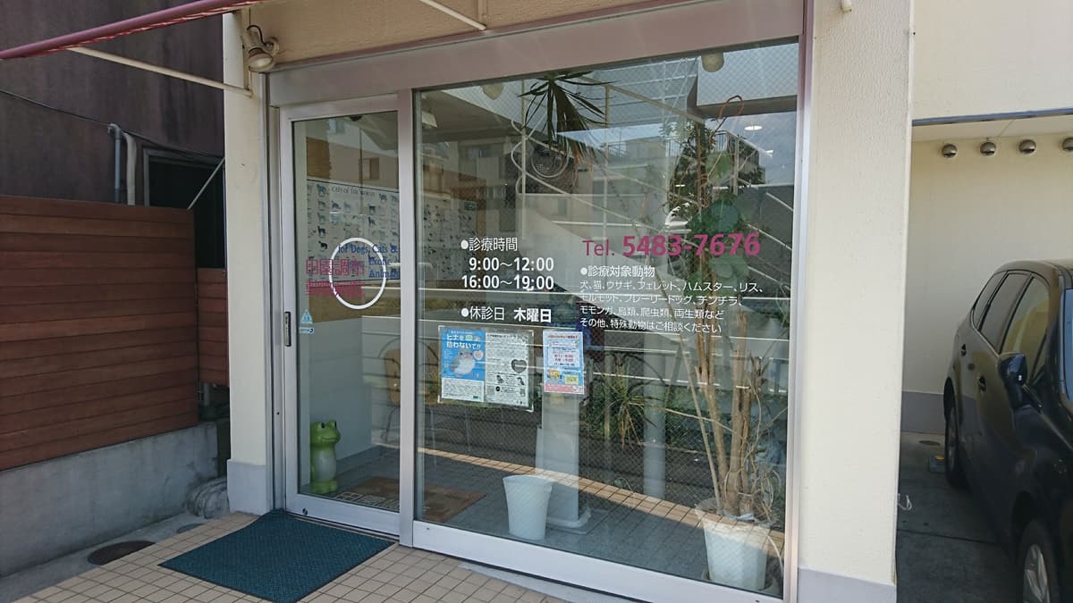 田園調布動物病院
