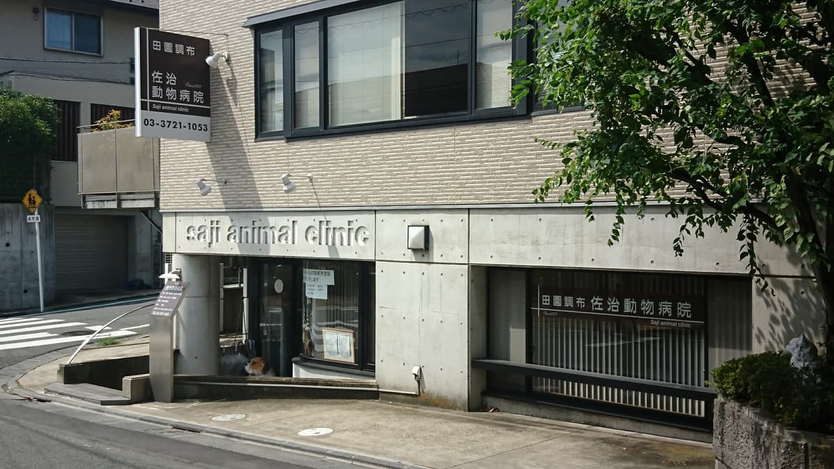 田園調布佐治動物病院