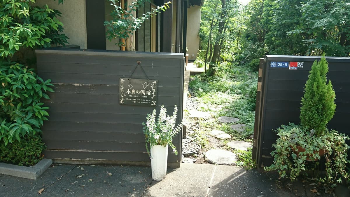 小鳥の病院