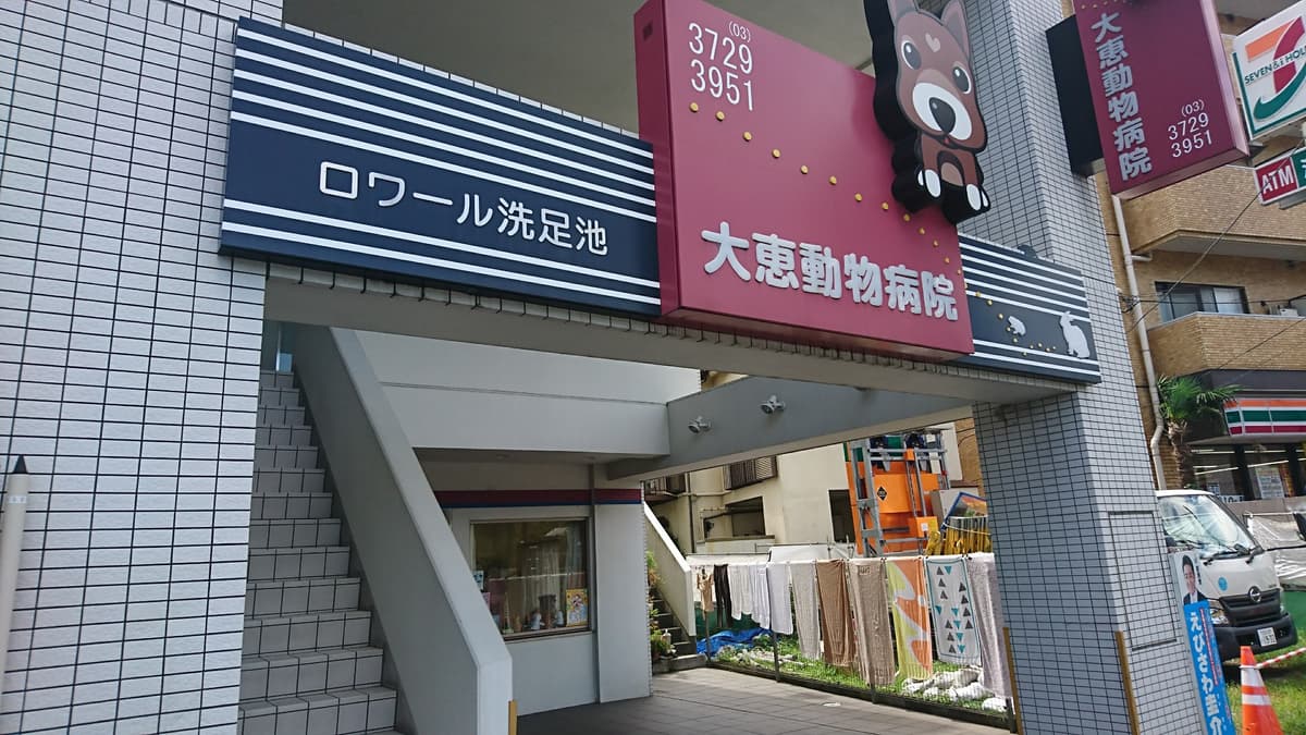大恵動物病院