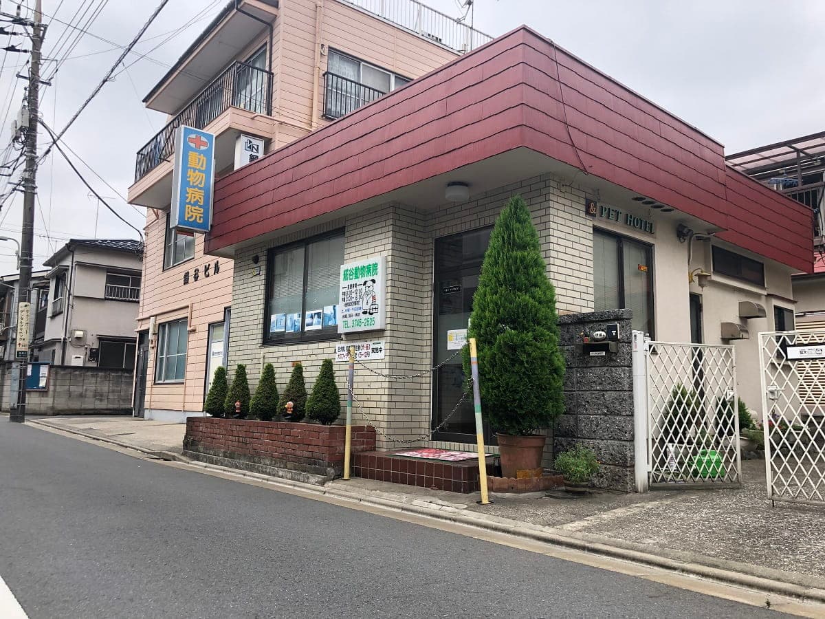 糀谷動物病院