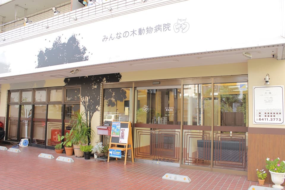 みんなの木動物病院 2
