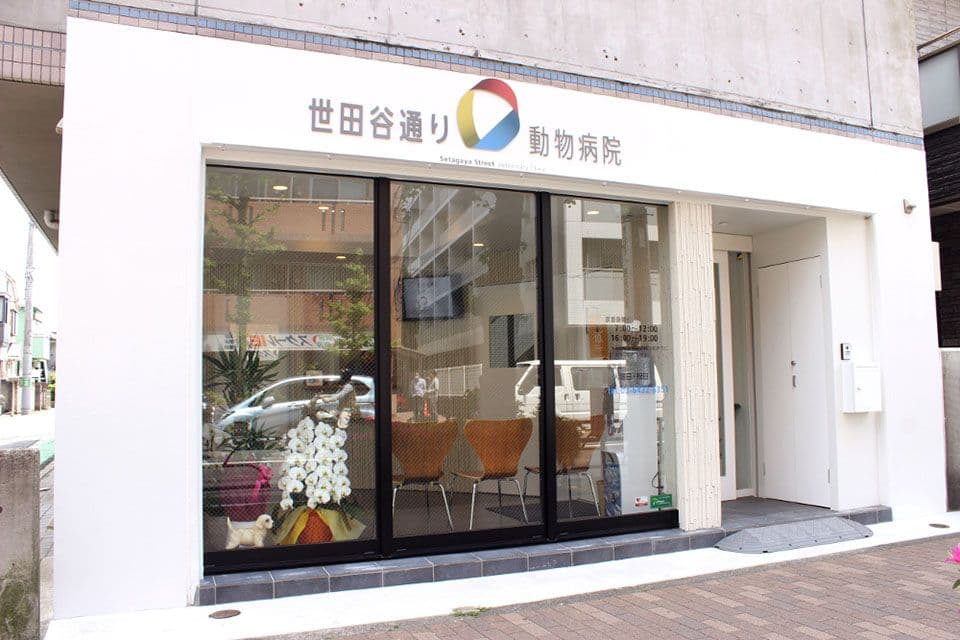 世田谷通り動物病院