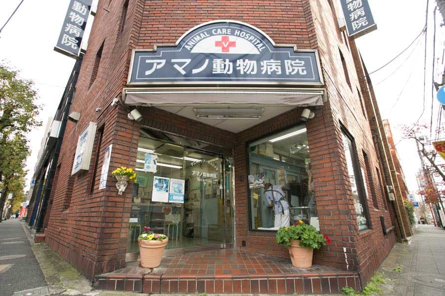 アマノ動物病院 2